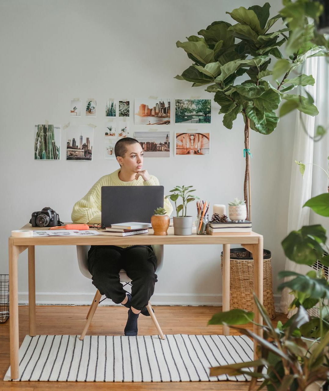 カスタムプランのイメージ